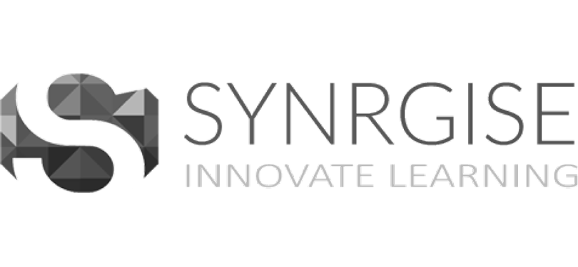 synrgise.com